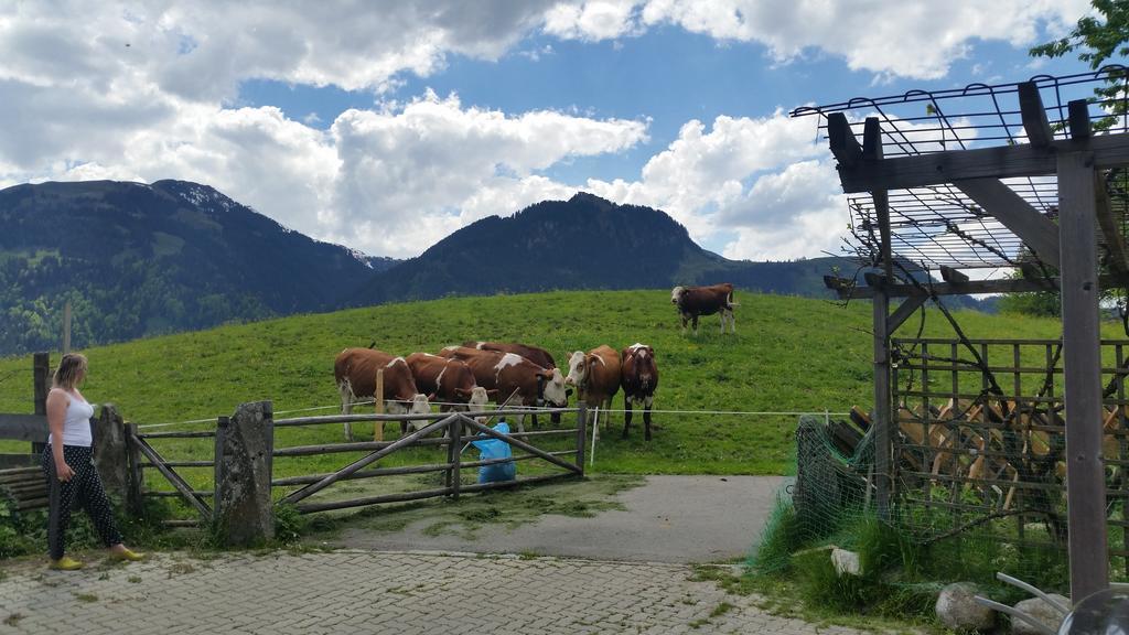 Appartements Berger Kitzbühel Buitenkant foto